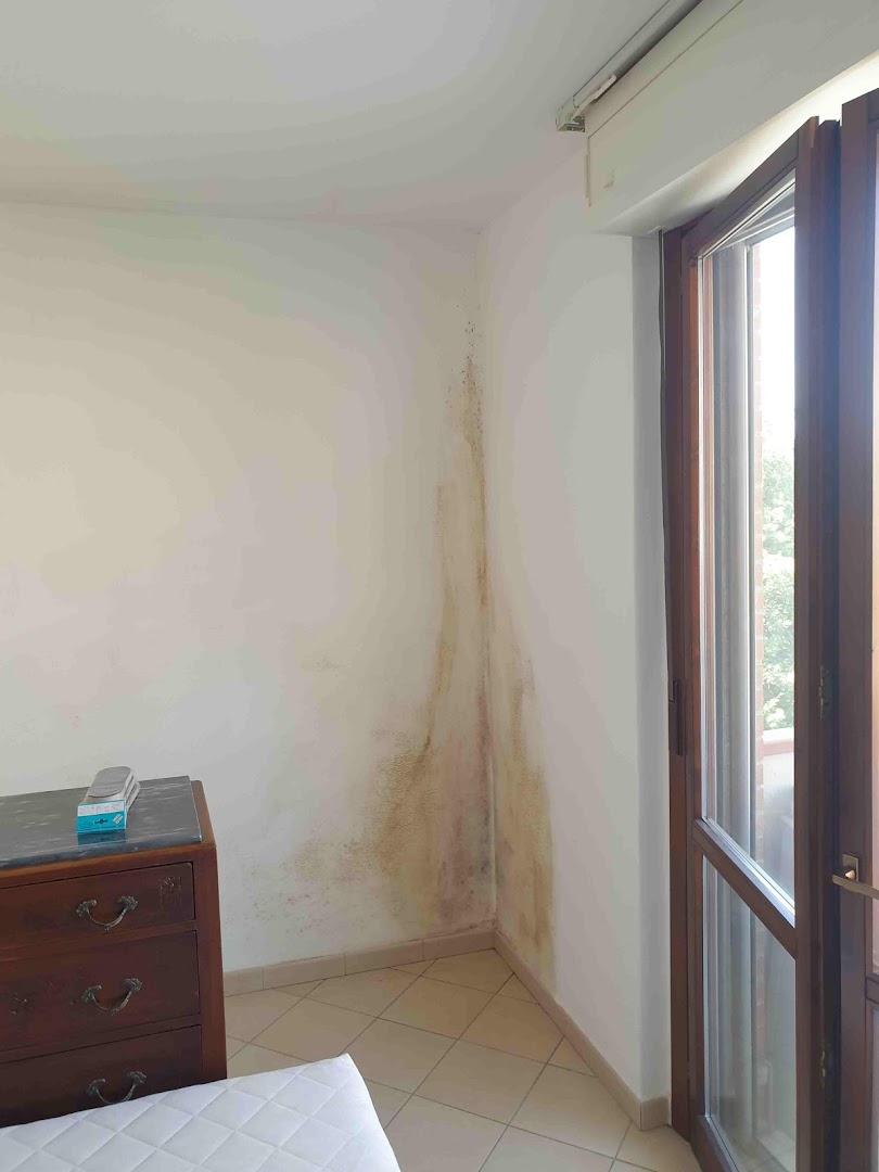 Cipriani , Decorazioni Imbiancatura Verniciatura — Foto 7